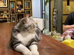 -咖法森林·咖啡  酒吧(天河店)