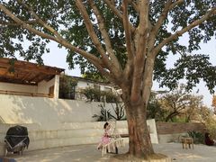 -悦哉·派对·草坪婚礼·围炉煮茶(三圣乡店)