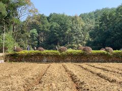 -韶山毛泽东同志故居