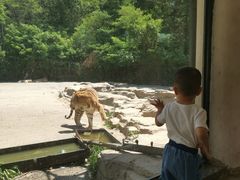 -大连森林动物园