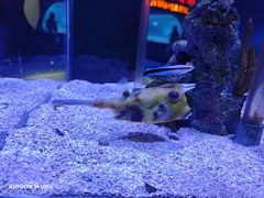 -太平洋海底世界