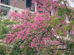 -福州大学(旗山校区)