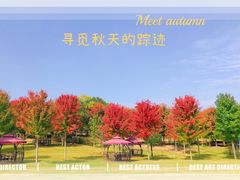 -南京枫彩漫城