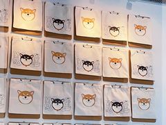 -柴务处·柴犬主题狗咖