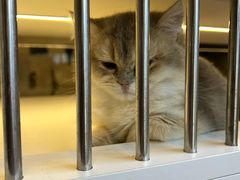 -万达影城(浦西万达广场激光IMAX店)