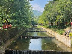 -广州白江湖森林公园