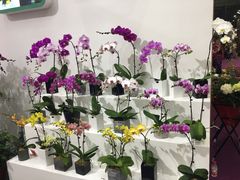 -双季花艺园艺市场(浦东店)