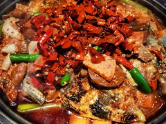 -辣尚瘾·烤鱼·新川菜(牡丹园直营店)