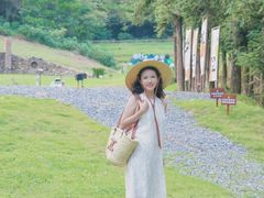 -牛鱼嘴原始生态风景区