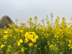 -中国天府农业博览园