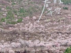 -居庸关长城