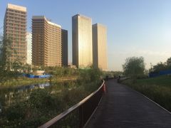 -西海子公园