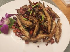 -东哥紫阳蒸盆子(旺座·现代城店)