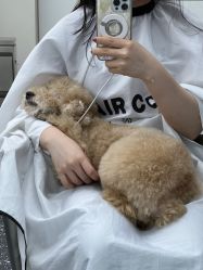 -Hair Co.一间沙龙