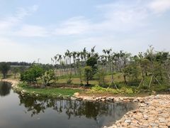 -宝安西湾红树林湿地公园