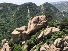 -沂蒙山旅游区云蒙景区(蒙山国家森林公园)