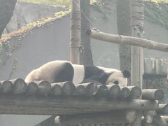 -柳州市动物园