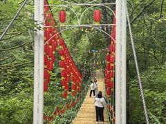 -五营红松林海景区