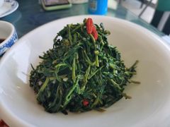 养生枸杞苗-老毛手抓·盐池滩羊非遗手抓(宁夏总店)