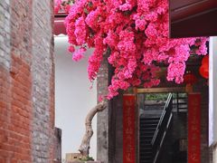 -碧江民乐公园