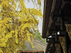 -古大圣慈寺