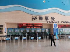 -泉城欧乐堡海洋极地世界