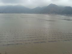 -北岐滩涂