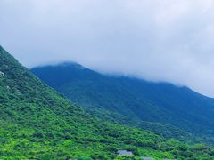 景点-杨梅坑