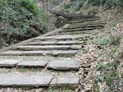 -午潮山国家森林公园