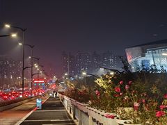 -梦之蓝青奥体育公园体育馆