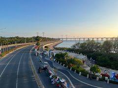 -宝安西湾红树林湿地公园