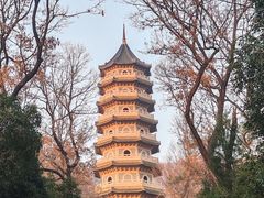 -灵谷景区