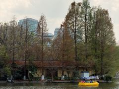 -翠湖公园