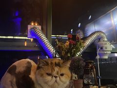 -后院儿·精酿·塔罗Happy Bar