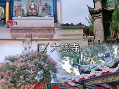 -西月城谭豆花(春熙路店)