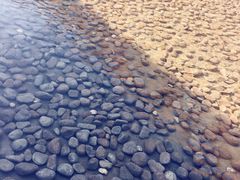 -中国艺术研究院油画院