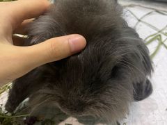-雨林宠物医院 非犬猫异宠专科