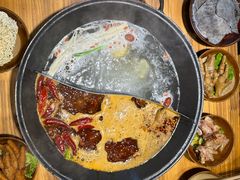 鸳鸯锅-阳阳老火锅(小南门店)