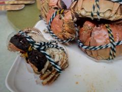 -上膳源有机农场