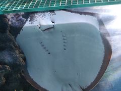 -福州罗源湾海洋世界旅游区