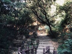 -北京西山国家森林公园