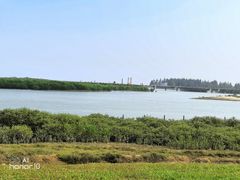 -北海金海湾红树林生态旅游区