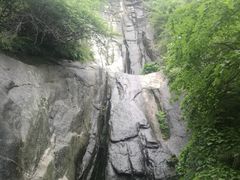 -王顺山国家森林公园