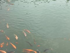 -千龙湖生态旅游度假区