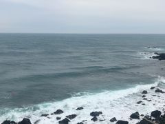 -涉地可支
