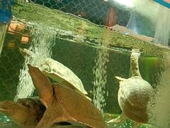 -顺意·顺德家乡菜(国际人才大厦店)