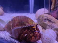 -太平洋海底世界