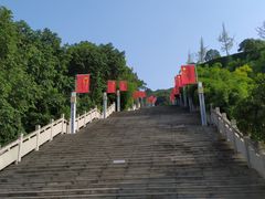 -铁山坪森林公园