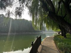 -团结湖公园