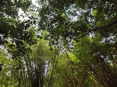 -晓港公园